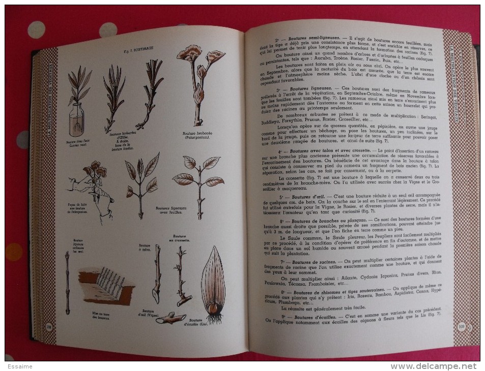 Encyclopédie pratique du jardinage. 1953. édition Fernand Nathan. 492 pages.