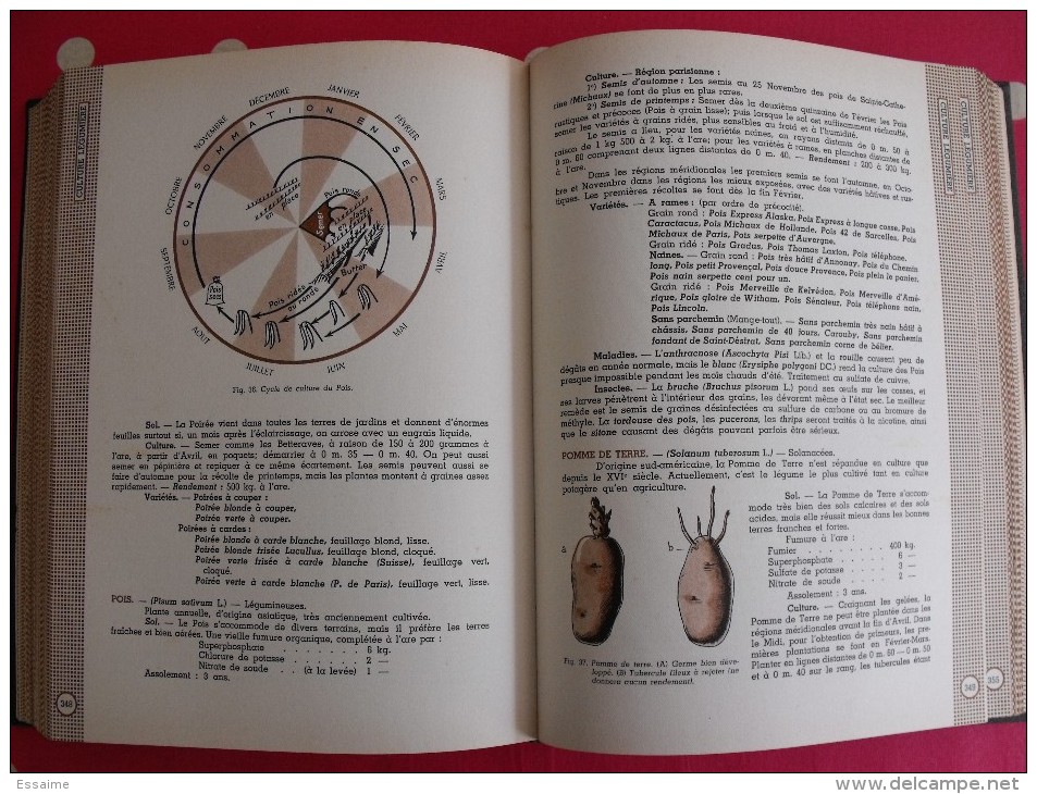 Encyclopédie pratique du jardinage. 1953. édition Fernand Nathan. 492 pages.