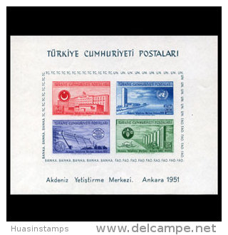 TURKEY 1951 - Scott# 1054a S/S Econimic MNH (XQ542) - Unused Stamps