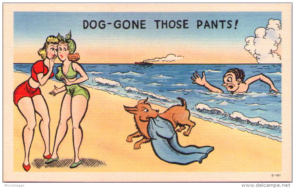 Dog-gone Those Pants ! - Humour