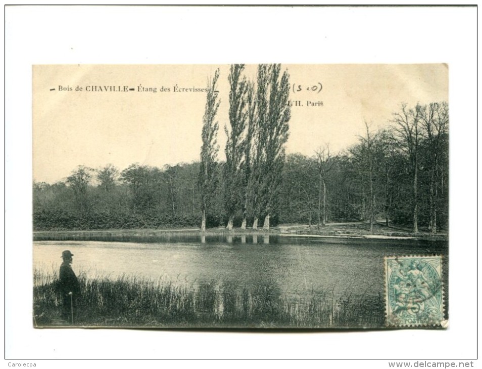 CP - CHAVILLE (92)E TANG DES ECREVISSES DANS LE BOIS - Chaville