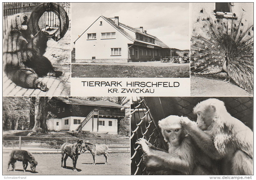 AK Hirschfeld Tierpark Kreis Zwickau Konsum Gaststätte Bärenschenke Bei Kirchberg Wilkau Voigtsgrün Ebersbrunn Stenn DDR - Crinitzberg