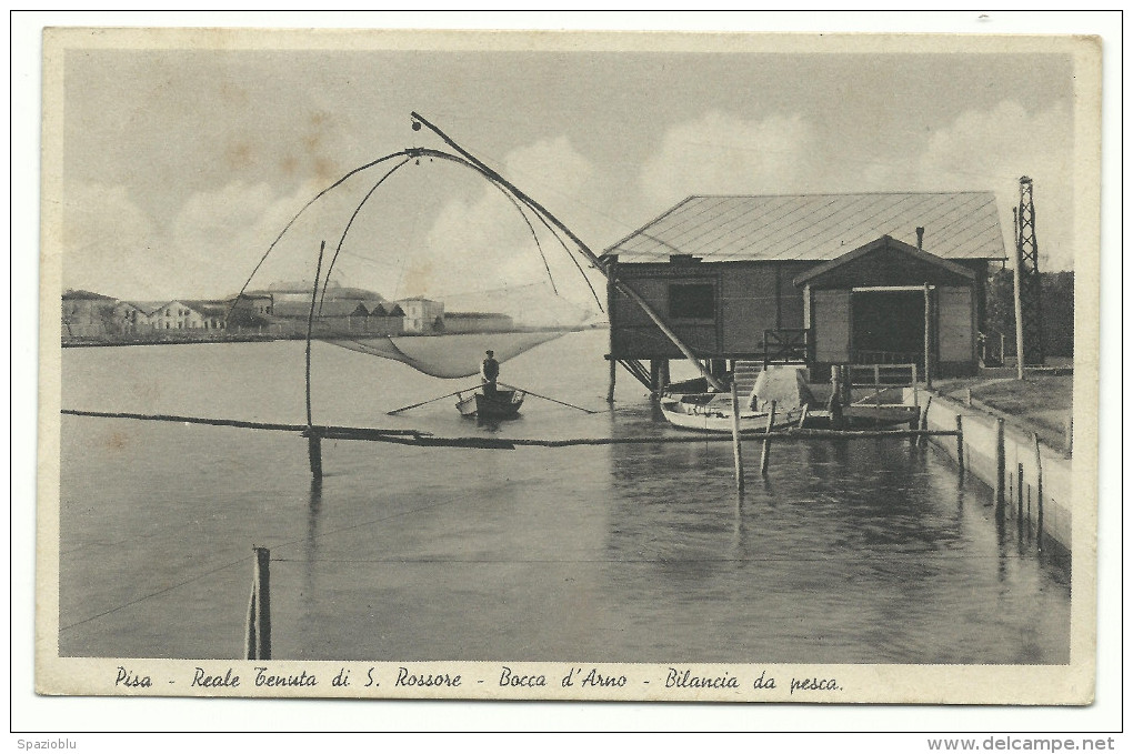 1935, Pisa -" Reale Tenuta Di S.Rossone" -  Bocca D'Arno - Bilancia Da Pesca. - Pisa