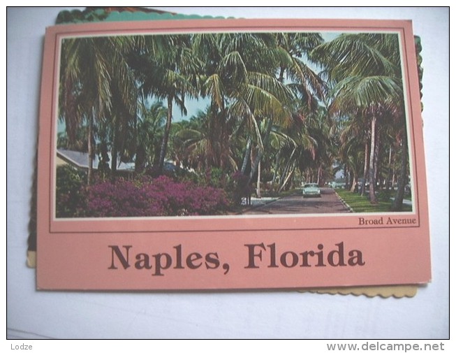 America USA FL Naples - Naples