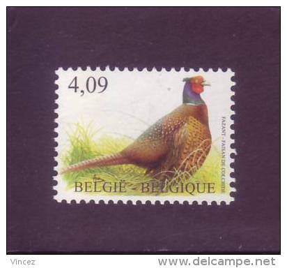 Belgio 2010 - Uccelli, Fagiano Della Colchide, 1v MNH** - Nuovi