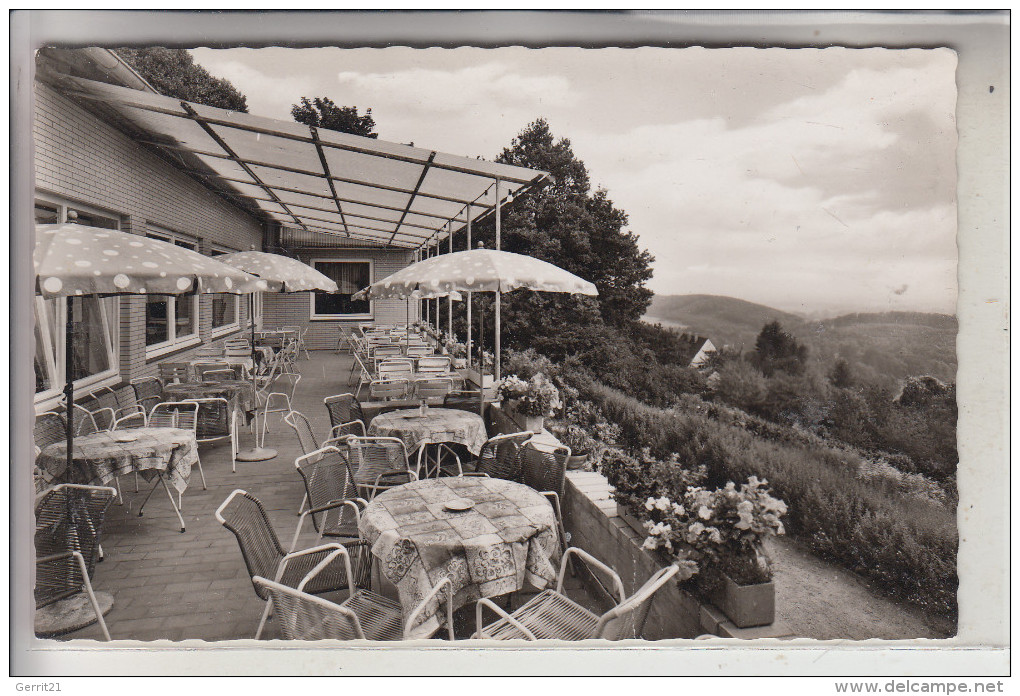 4542 TECKLENBURG, Hotel Bismarckhöhe, 1965 - Steinfurt