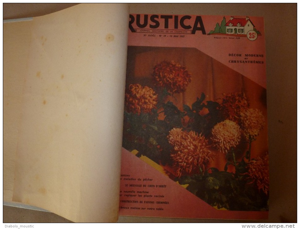 Rare ALBUM De 16 Revues RUSTICA Année 1957, Etat Superbe - Jardinería