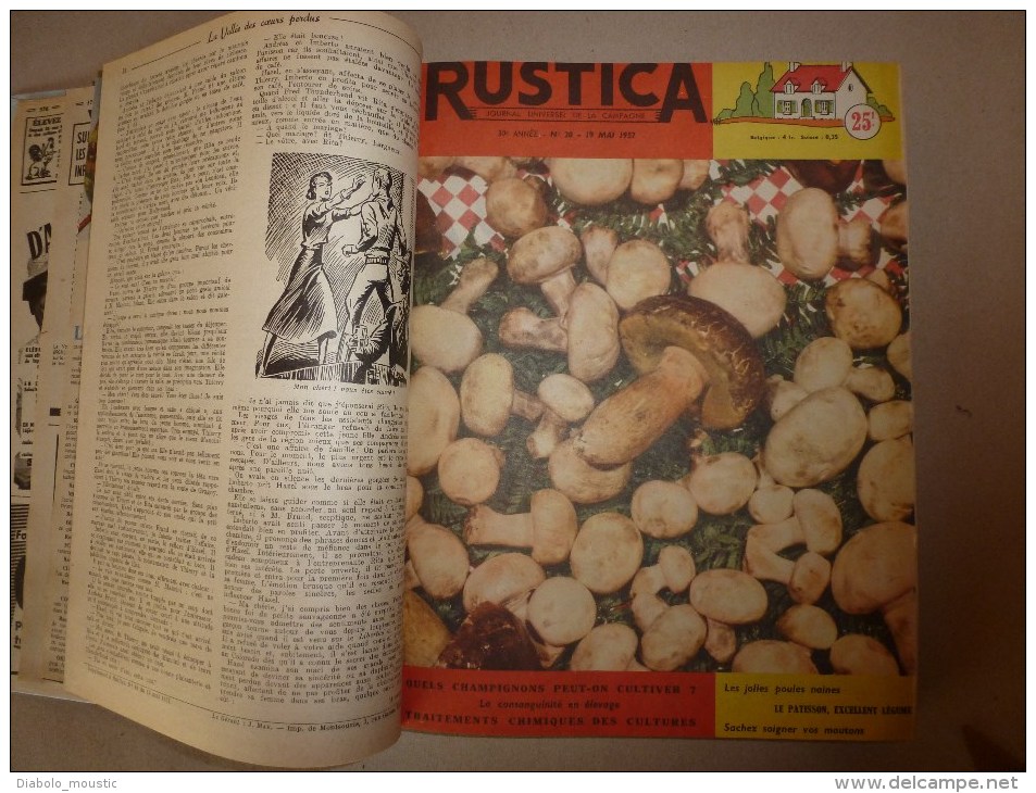 Rare ALBUM De 16 Revues RUSTICA Année 1957, Etat Superbe - Garten