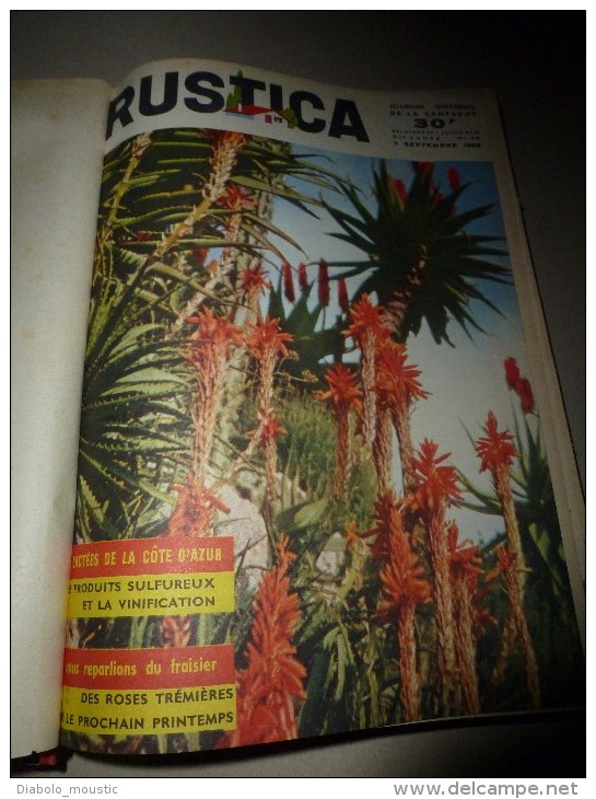 Rare ALBUM  De 17 Revues RUSTICA   Année  1958,    Etat Superbe - Jardinería