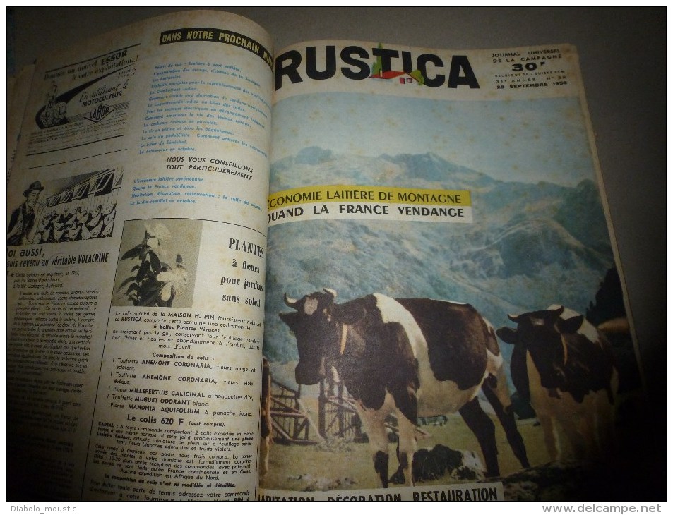 Rare ALBUM  de 17 revues RUSTICA   année  1958,    Etat superbe