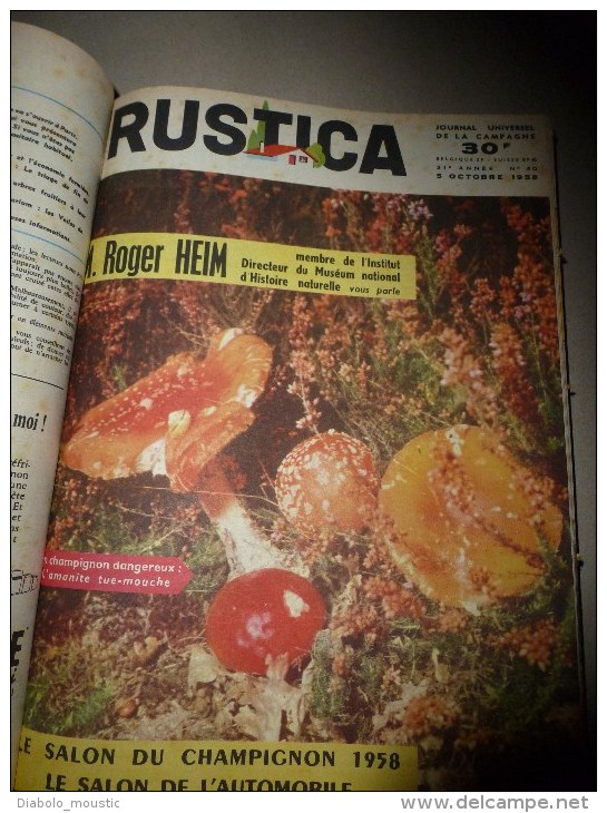 Rare ALBUM  de 17 revues RUSTICA   année  1958,    Etat superbe