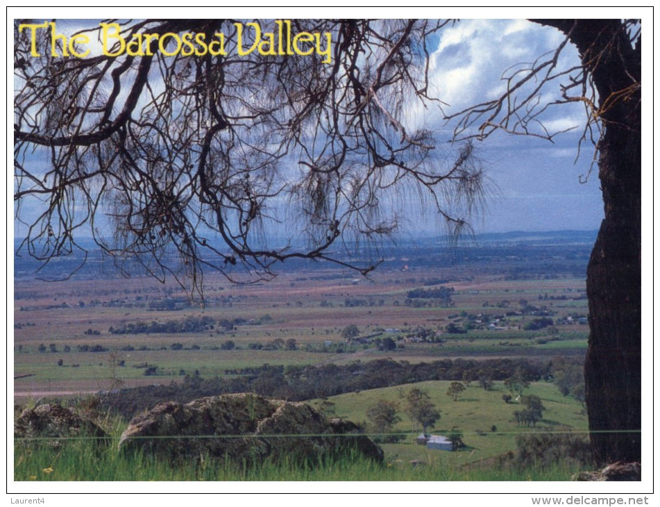 (PH 3147) Australia - SA - Barossa Valley - Barossa Valley