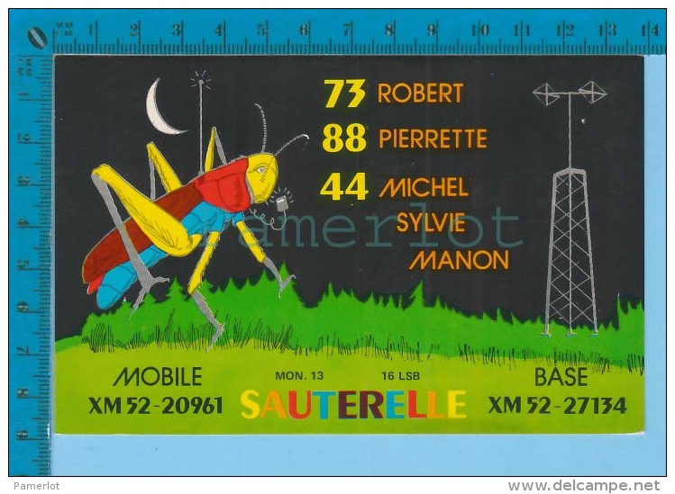 QSL Base Ou Mobile "  Sauterelle " Repentigny Quebec Canada (  XM-52...., CB Radio CPM ) Recto/verso - CB