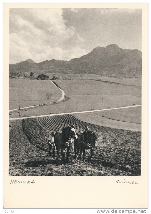 SUISSE Photo - Photographie Walter Niessen Unused Excellent état - Photographie