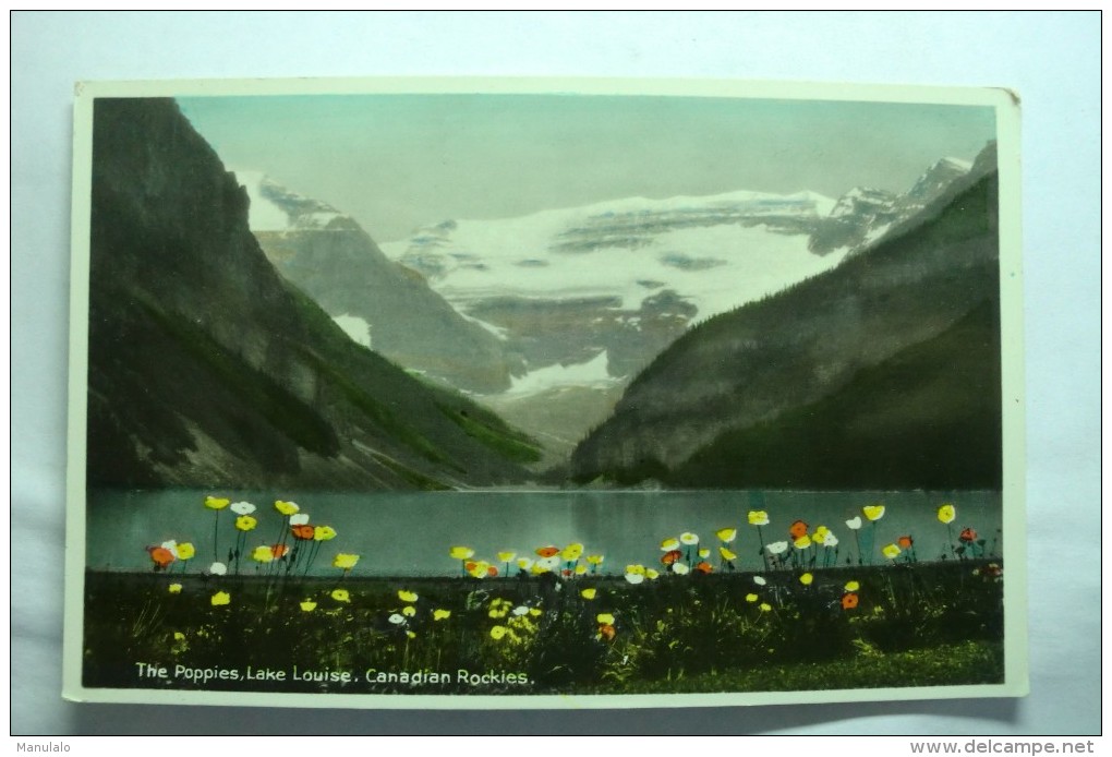 The Poppies , Lake Louise, Canadian Rockies - Lac Louise