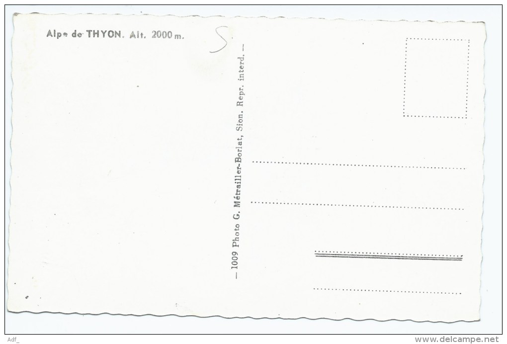 9ch2@ CPSM ALPE DE THYON, Format 9 Cm Sur 14 Cm Environ, VALAIS, SUISSE - Andere & Zonder Classificatie