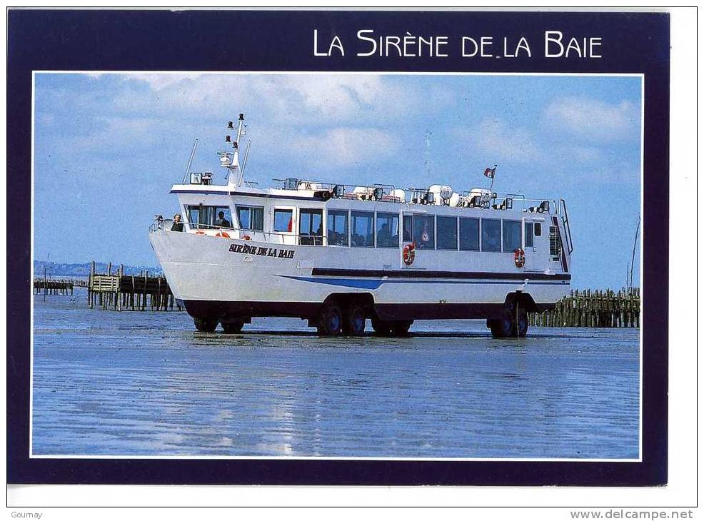 Le Vivier Sur Mer : L'amphibie La Sirène De La Baie (croisière En Baie Du Mont Saint Michel) - Other & Unclassified