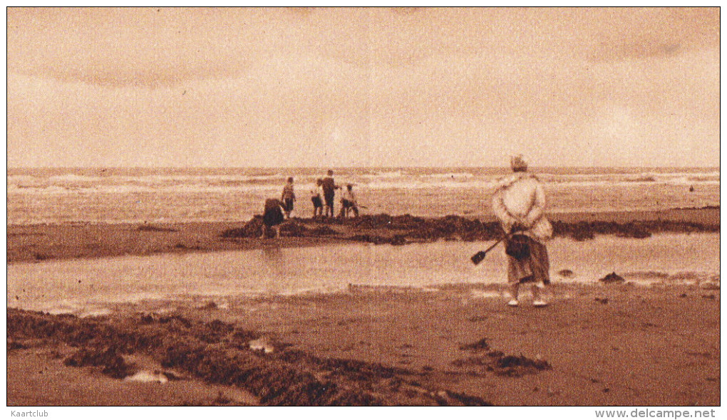 Groet Uit Wijk Aan Zee - Zeegezicht  -  Noord-Holland/Nederland - Wijk Aan Zee