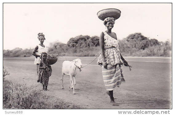 Afrique Noire - Départ Pour Le Marché (animée) - Ohne Zuordnung