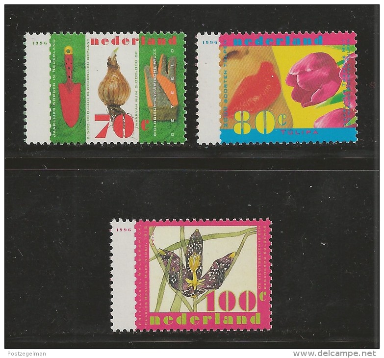 NEDERLAND, 1996, MNH Stamps, Nature, Flowers, Nr(s). MI 1566-1568,#5769 - Neufs