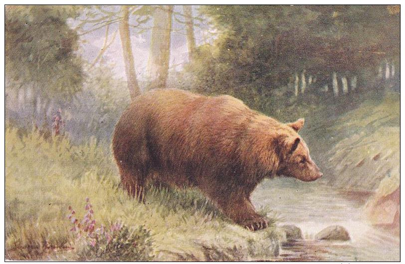 Artist Drawn The Brown Bear Postcard (AN049) Oilette - Ours