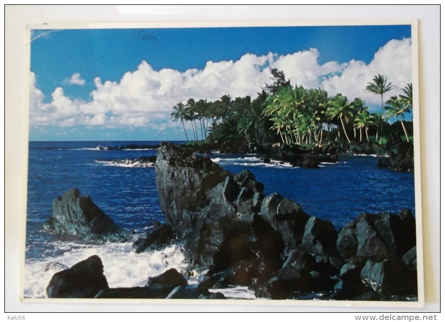 MAUI'S BEAUTIFUL SHORELINE - Maui