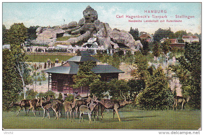 AK Litho Hamburg - Carl Hagenbeck´s Tierpark, Stellingen - Nordische Landschaft Mit Rutschbahn - 1909 (7548) - Stellingen