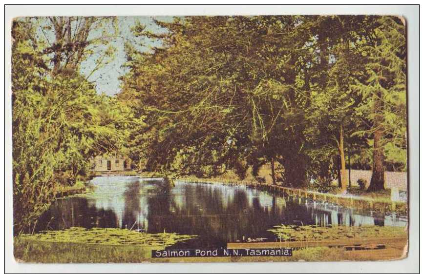 Salmon Pond - Tasmania - Autres & Non Classés