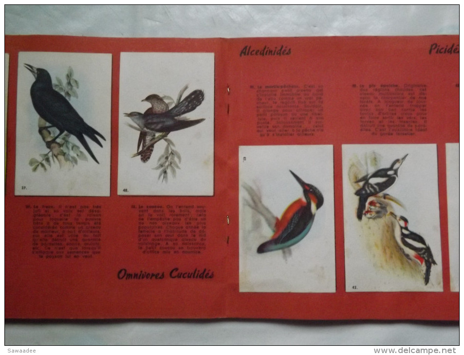 ALBUM - OISEAUX DE NOS PAYS - LA VACHE GROS JEAN - FROMAGE - CREME DE GRUYERE - COMPLET - 1960 - 84 IMAGES - Albums & Catalogues