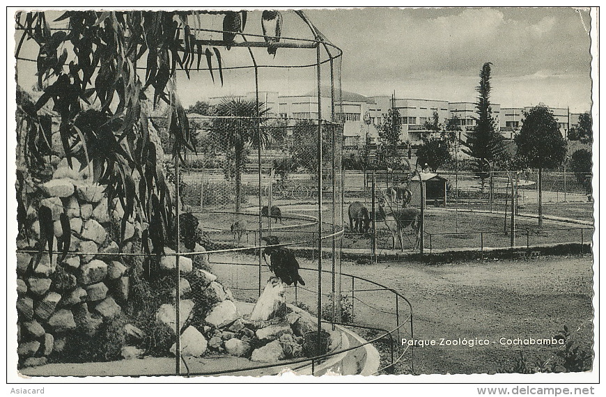 Cochabamba Parque Zoologico Zoo  Edicion  Bazcal Casilla 1961 - Bolivien