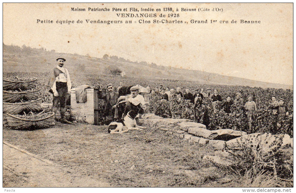 CPA BEAUNE (21) Vendanges 1928 Maison Patriarche Clos St Charles TB - Beaune