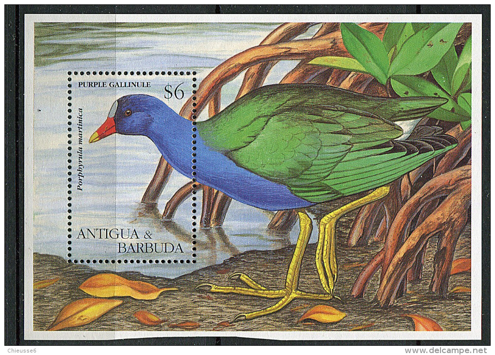 (CL 44 Bis) Antigua Et Barbuda ** Bloc N° 322 - Oiseaux (II) - Antigua And Barbuda (1981-...)