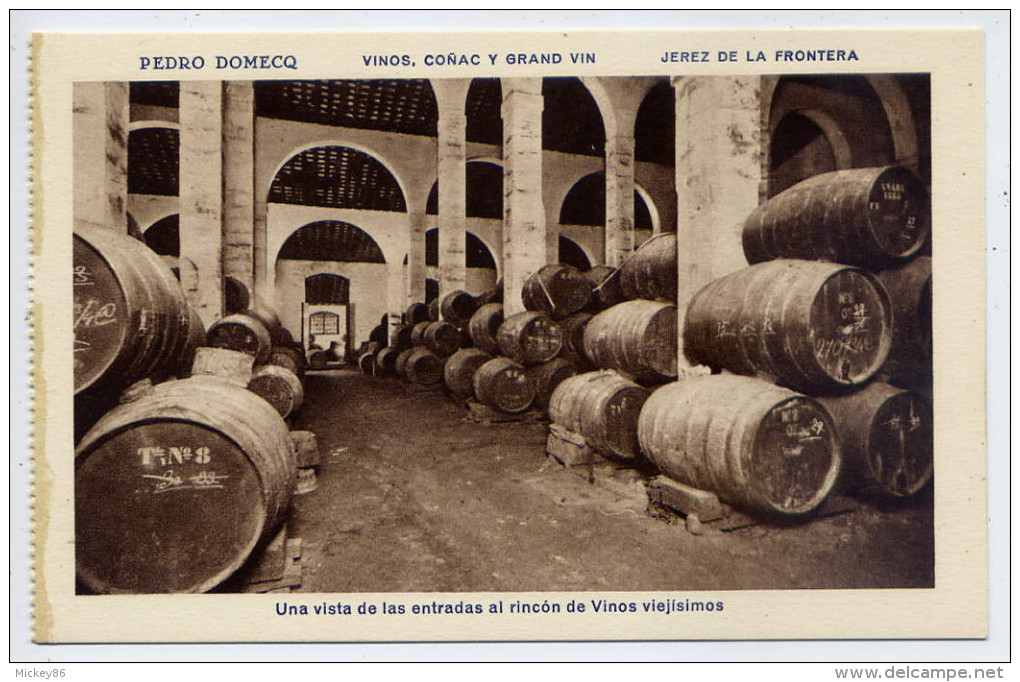 Espagne-JEREZ DE LA FRONTERA - Pedro DOMECQ - Vinos Conac Y Grand Vin-Vista Al Rincon Vinos Viejisimos éd HMS - Autres & Non Classés