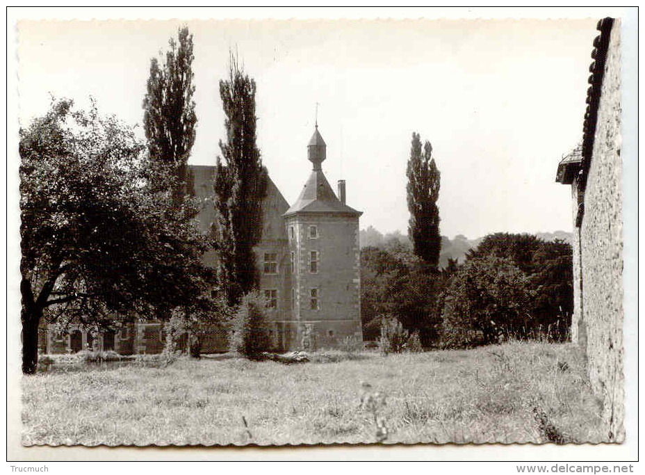 E3767  -    FOURON - SAINT - PIERRE  -  Château Aux Sources De La Voer - Voeren