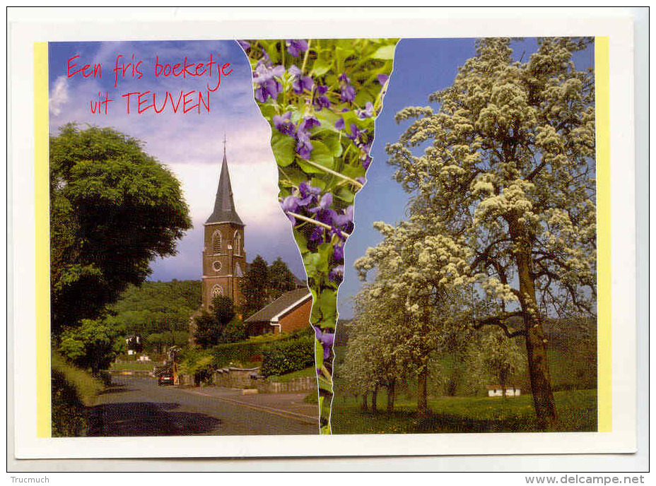 E3791  -  TEUVEN - Voeren