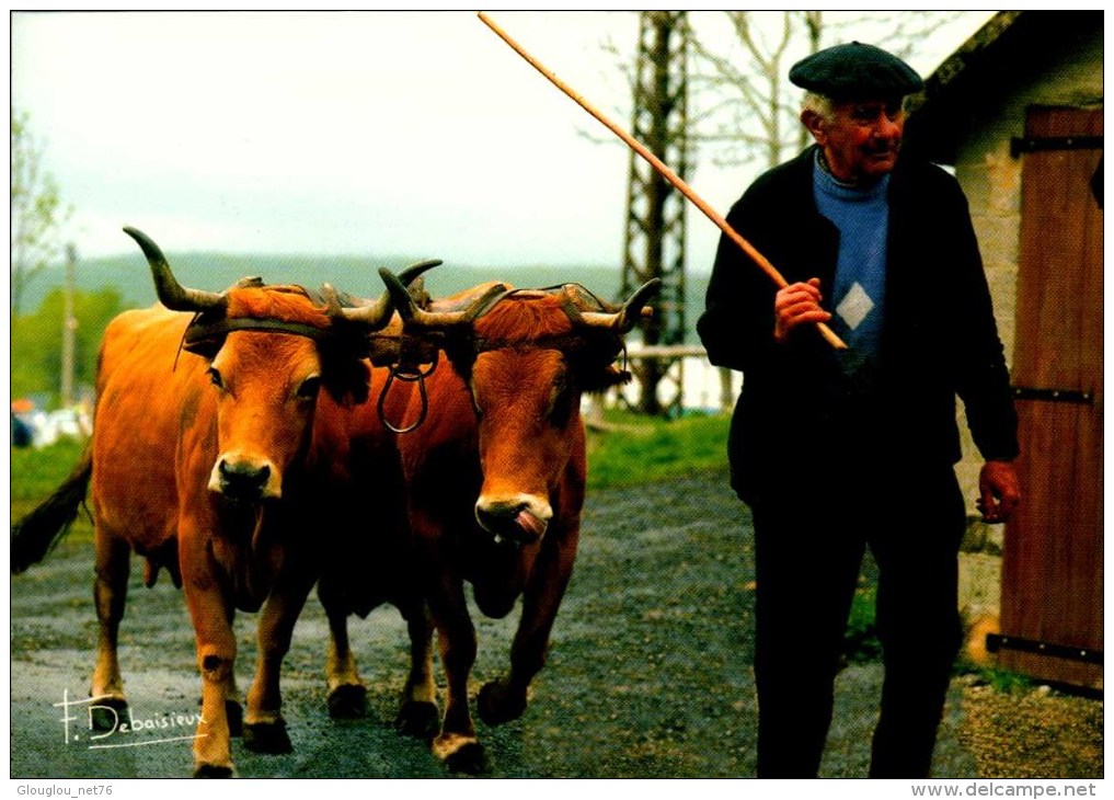 GARDEUR DE TROUPEAUX PAR F.BEBAISIEUX...CPM ANIMEE.......CPM - Tracteurs