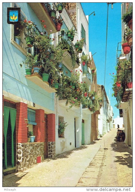 PENISCOLA - Rue San Roque - 1973                      (3615) - Castellón