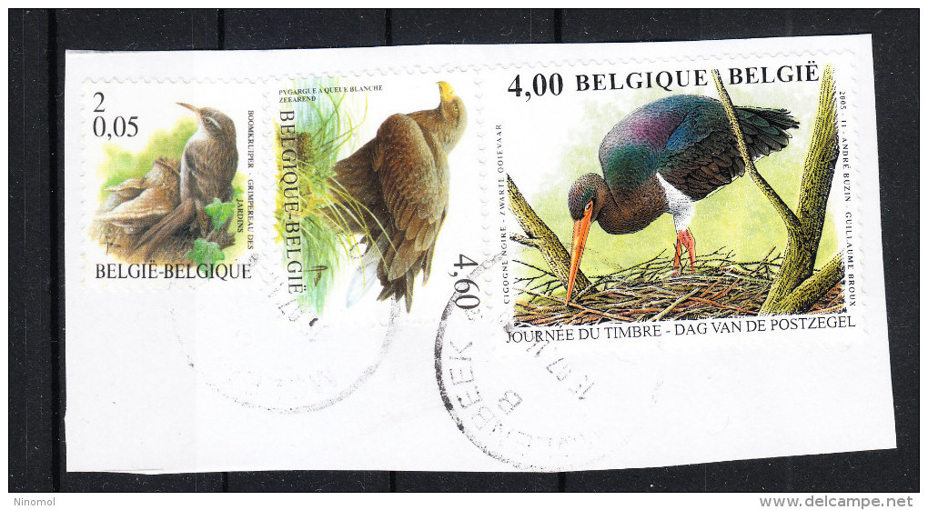 Belgio   -   2005.  Cicogna, Aquila, Passero· Stork, Eagle, Sparrow · Hig Values. Self Adhesive - Storchenvögel