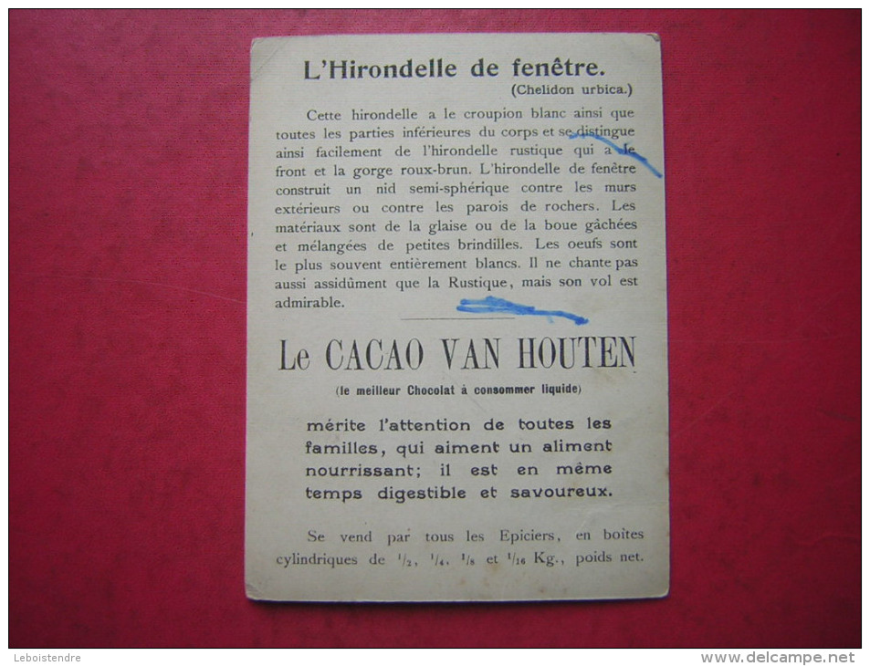 CHROMO 10 X 13.5 CM  CACAO  VAN HOUTEN  L'HIRONDELLE DE FENETRE - Van Houten