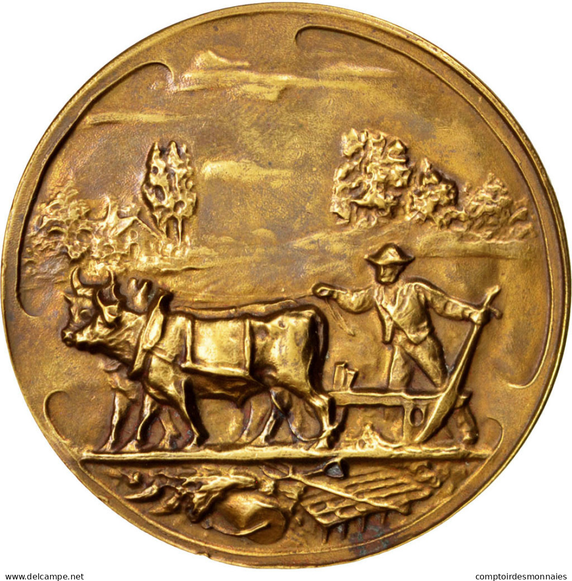 Belgique, Medal, Business & Industry, 1931, SUP, Bronze - Sonstige & Ohne Zuordnung