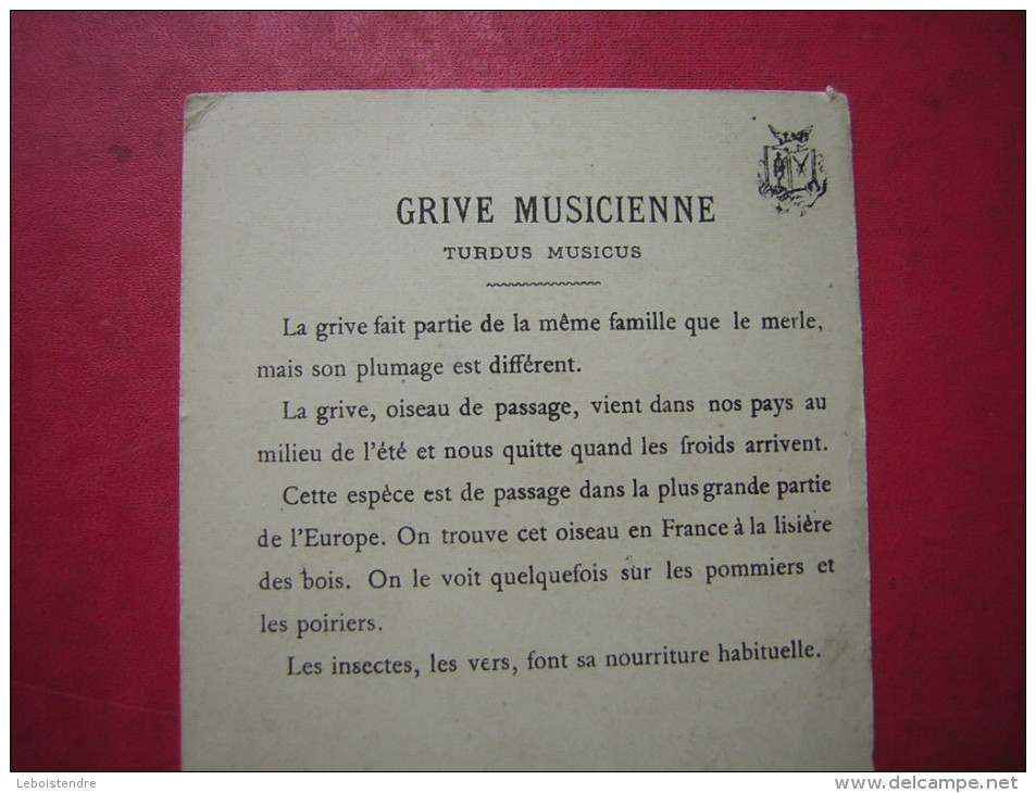 CHROMO 9.5 X 13.8 CM  SANS DOUTE UNE SERIE EDUCATIVE  ILLUSTRATION SIGNEE LESCURE   GRIVE MUSICIENNE  TURDUS MUSICUS - Van Houten