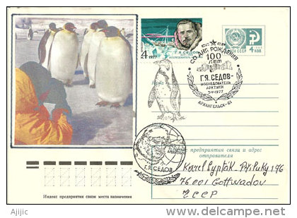 Explorataire Polaire Russe G.Y Sedov, Sur Lettre Adressée En Rep.Tchèque 1977  (Pingouins) - Altri & Non Classificati