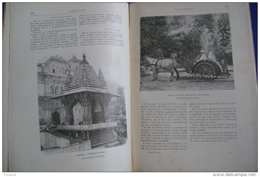 PFZ/13 NATURA ED ARTE Ed.Vallardi 1894-95/DOMENICO JOLLO/NARNI/INDIA JEYPORE/MODA - Art, Design, Décoration