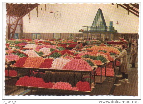 REF 193 : CPSM Pays Bas Holland Nederland Aalmeer Holland Flower Centre Of Europe - Aalsmeer