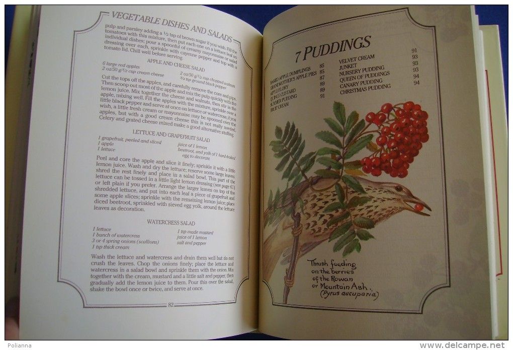 PFZ/22 Edith Holden-Alison Harding THE COUNTRY DIARY - COOKERY NOTES - RICETTE CUCINA - Huis En Keuken