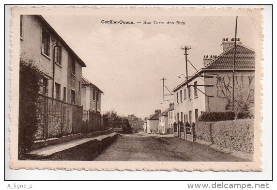 REF 189  : CPA Belgique Couillet Queue Rue Terre De Bois - Autres & Non Classés