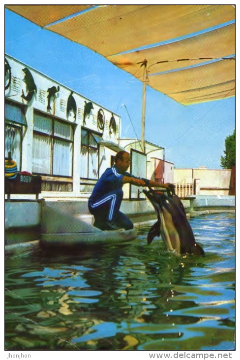 Romania- Postcard Unused - Constanta - Dolphinarium - 2/scans - Dauphins