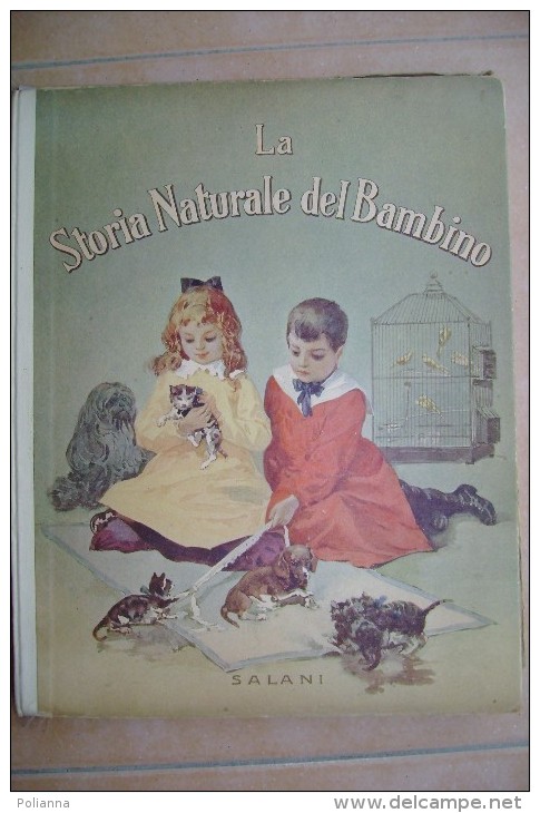 PCH/30 Enrichetta Susanna Bres STORIA NATURALE Del BAMBINO Salani 1927/Animali/ill. Chiostri - Old