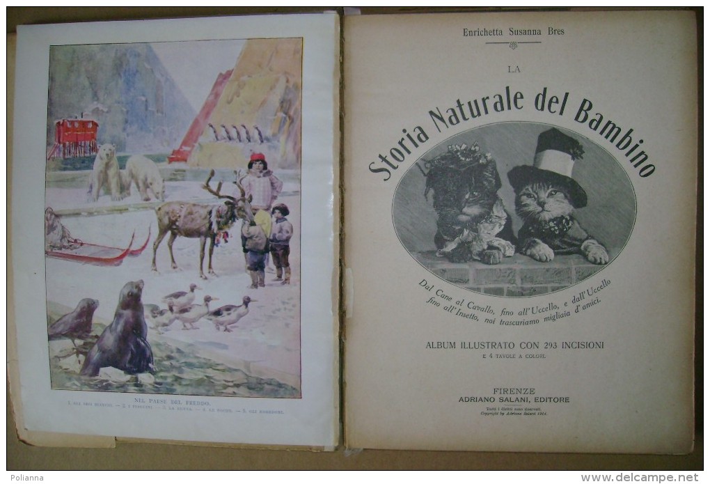 PCH/30 Enrichetta Susanna Bres STORIA NATURALE Del BAMBINO Salani 1927/Animali/ill. Chiostri - Oud