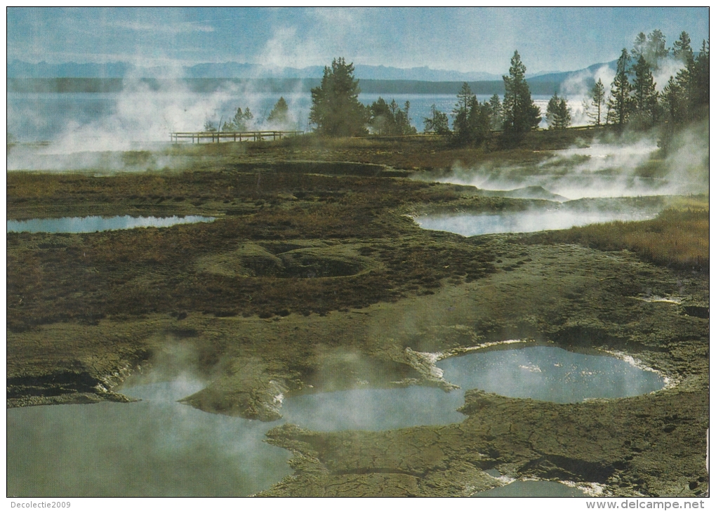 BF18640 Geyser Basin West Thum Yellowstone National Park USA Front/back Image - Yellowstone